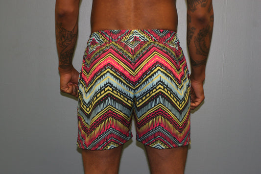Malibu (short) Men's Shorts